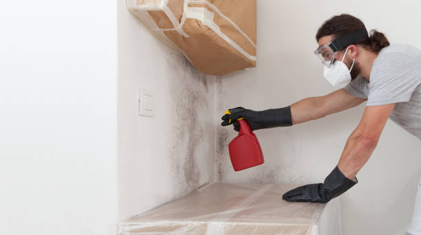 Professional Bathroom Mold Removal technician working in Brodnax, VA